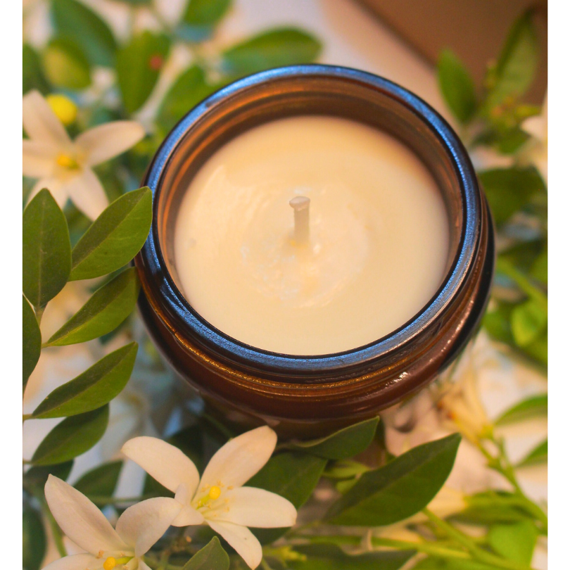 Jasmine Nights - Scented Candle